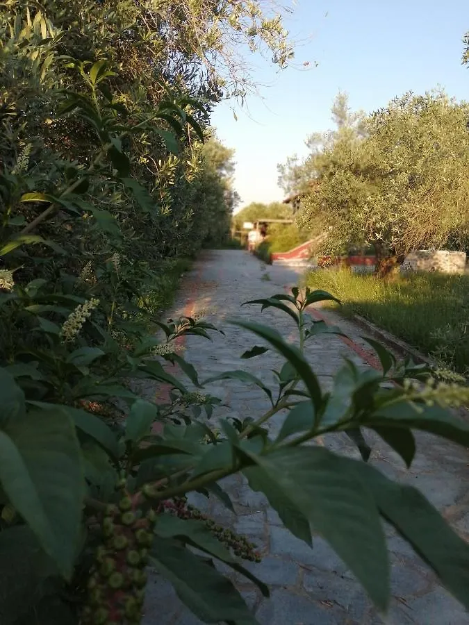 Xaroula Apartments Ιερισσός Ελλάδα